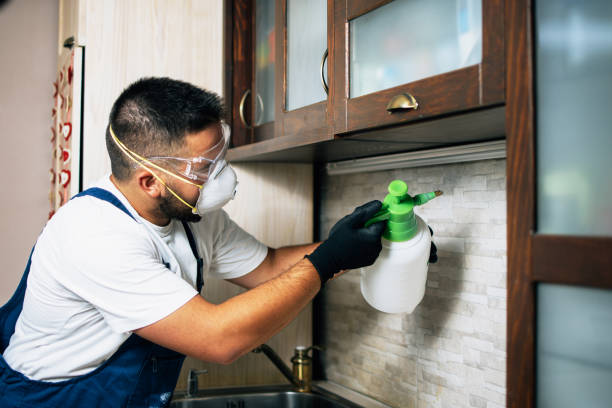 Best Bed Bug Extermination  in Richmond, IL