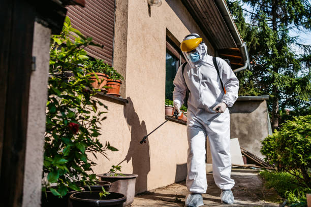Best Affordable Pest Control Services  in Richmond, IL