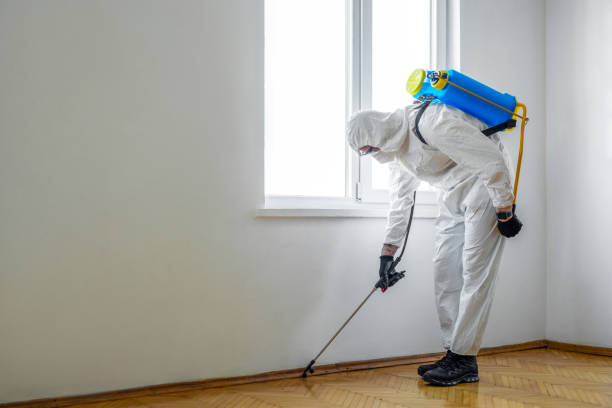 Best Pest Control for Homes  in Richmond, IL