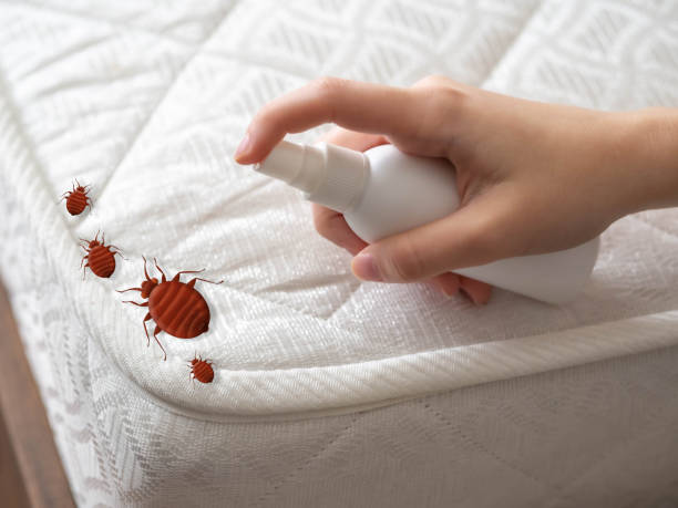 Best Affordable Pest Control Services  in Richmond, IL