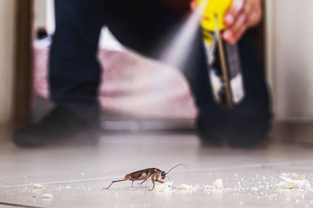 Best Termite Control Services  in Richmond, IL
