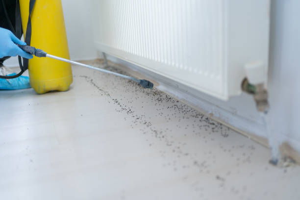 Best Ant Control Services  in Richmond, IL