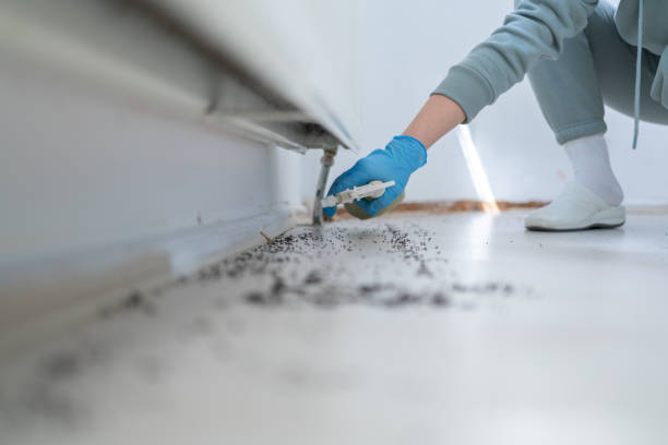 Best Best Pest Control Companies  in Richmond, IL